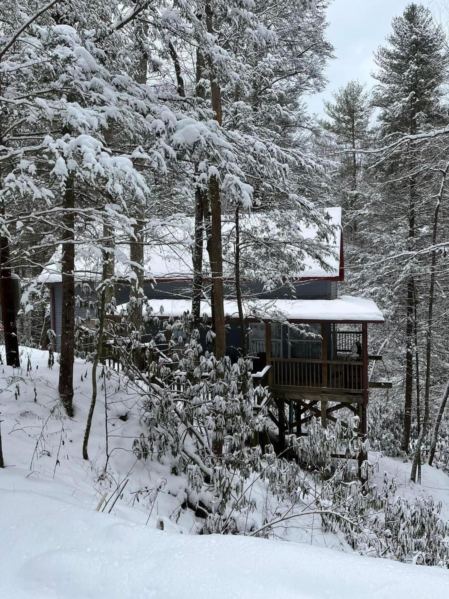 Cozy Cabin In Red River Gorge Rogers エクステリア 写真